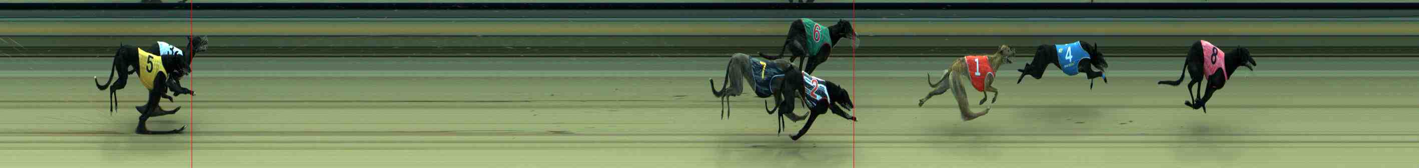 Race result finish photo